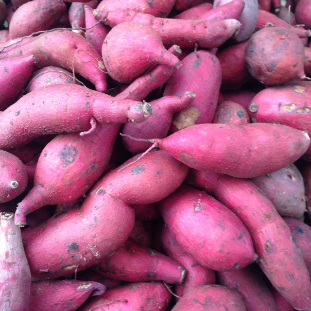 Japanese Yams Information, Recipes and Facts