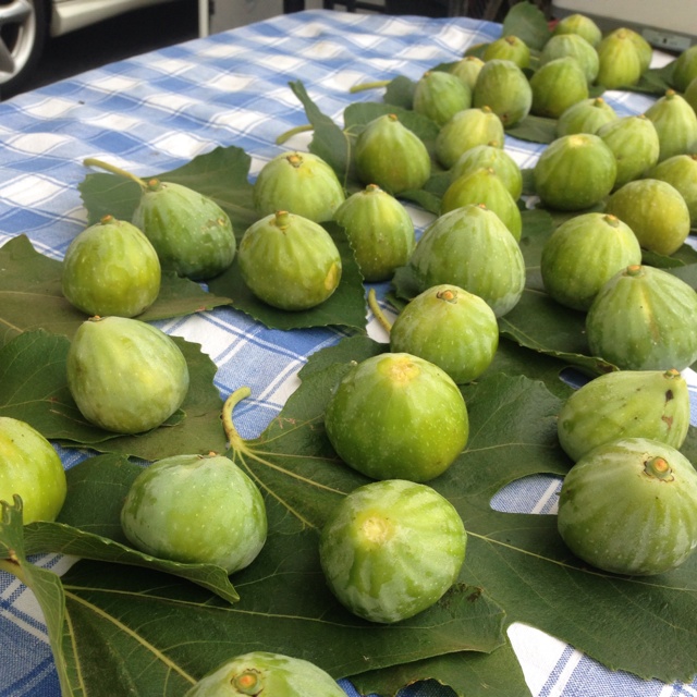 Green Figs Information, Recipes and Facts