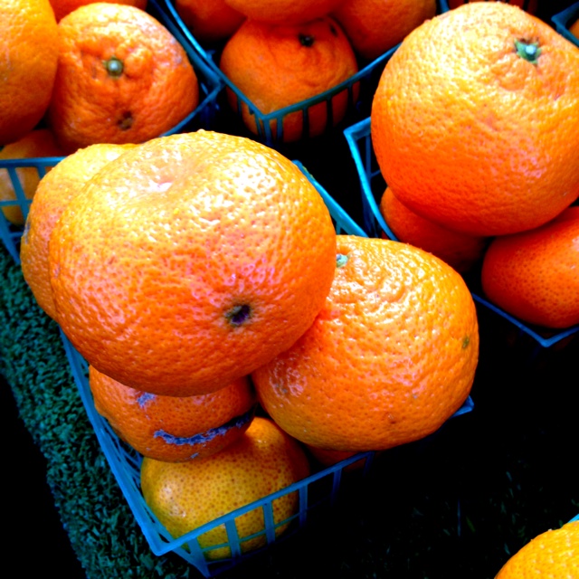 tangerine vs clementine