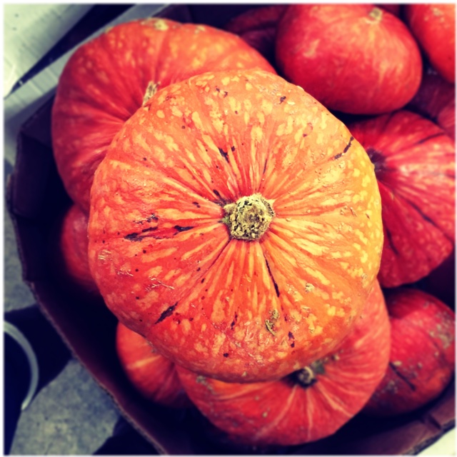 Sunshine Kabocha Squash Information Recipes And Facts