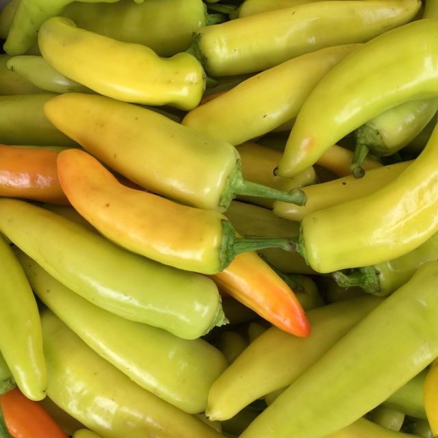 Hungarian Hot Chile Peppers Information, Recipes and Facts