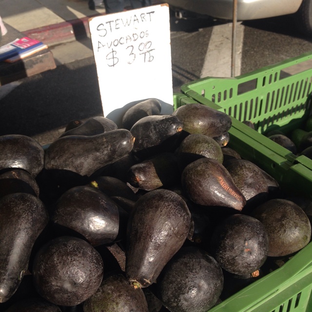 Stewart Avocados Information and Facts