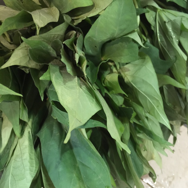 Sweet Potato Leaves Information, Recipes and Facts