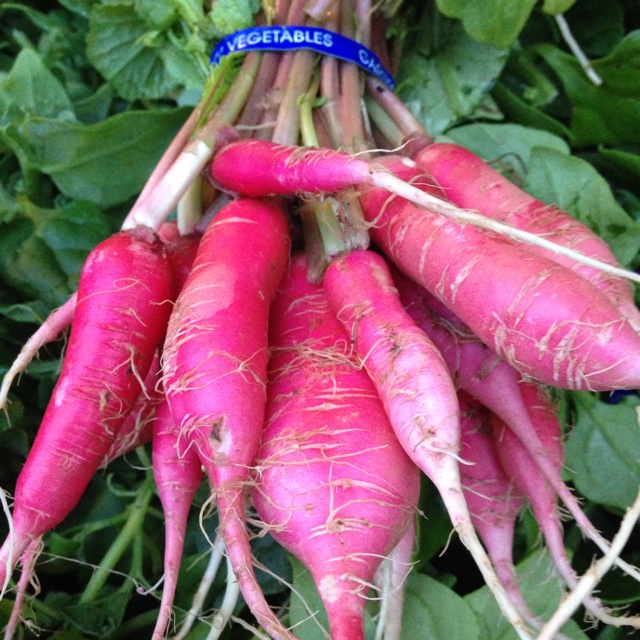 Shunkyo Radish Information, Recipes and Facts