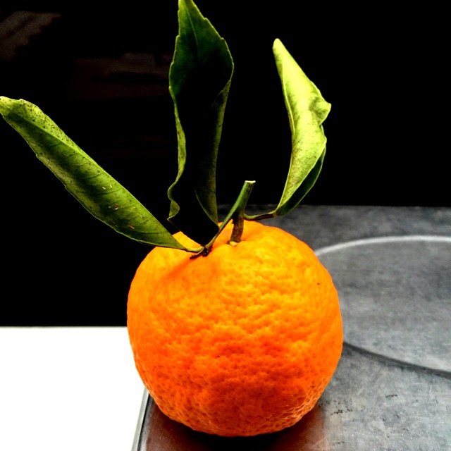 Gold Nugget Tangerines Information and Facts