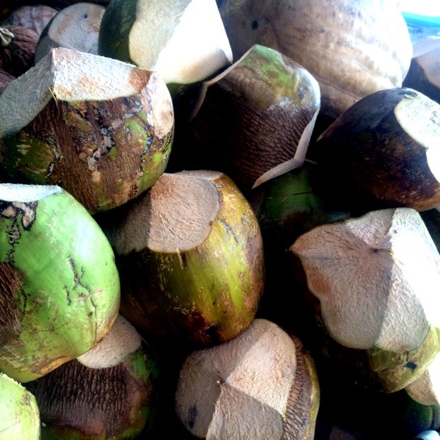 Husk Coconut Information, Recipes and Facts