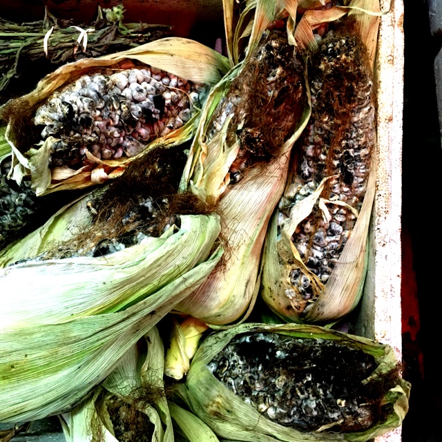 Huitlacoche Mushrooms Information, Recipes and Facts