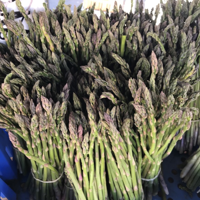 Green Asparagus Information, Recipes and Facts