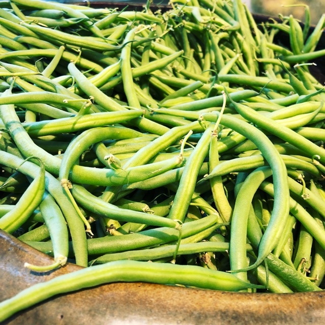  difference Between French Beans And Green Beans 