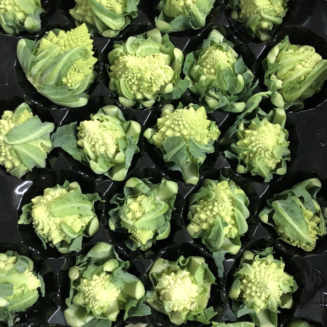Broccoli Spigarello Information, Recipes and Facts