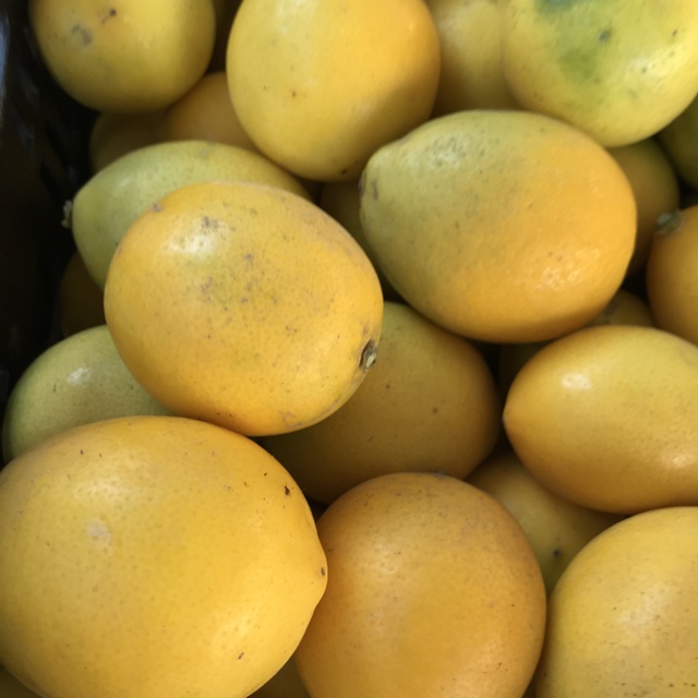 Meyer Lemons Information, Recipes and Facts