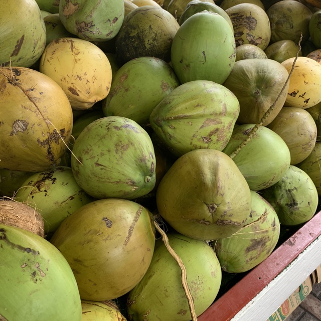Husk Coconuts Information, Recipes and Facts