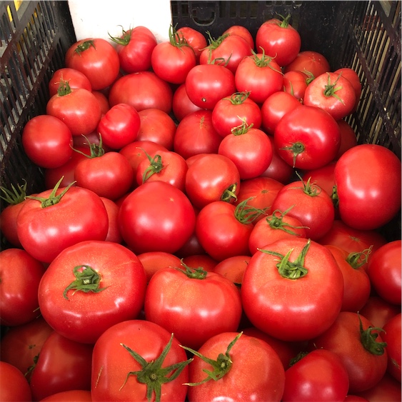 Japanese Momotaro Tomatoes Information And Facts