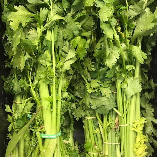 Chinese celery golden leaf Tang Qin
