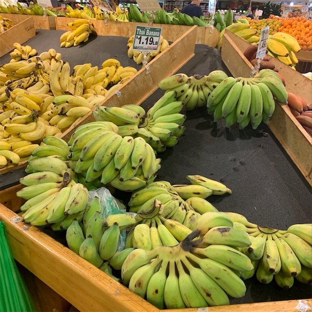 Blue java banana malaysia