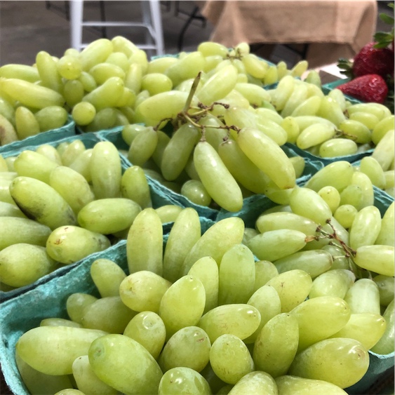 from Turkey Gold Finger Green Grape grafted 