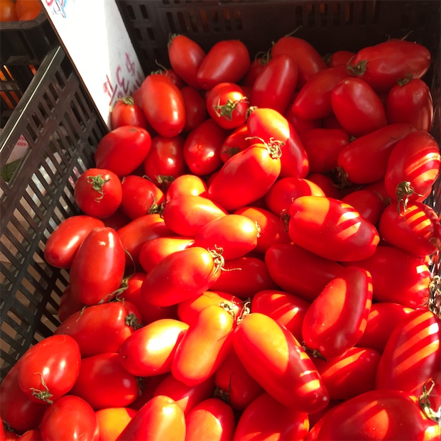 San Marzano Tomatoes Information and Facts