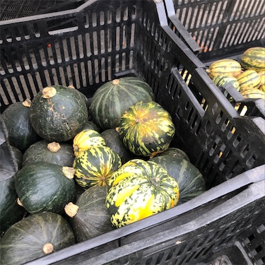 Carnival Squash Information, Recipes and Facts