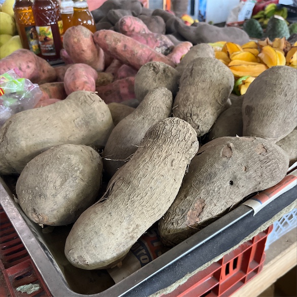  Jamaican Yellow Yam (1 Tuber) : Grocery & Gourmet Food