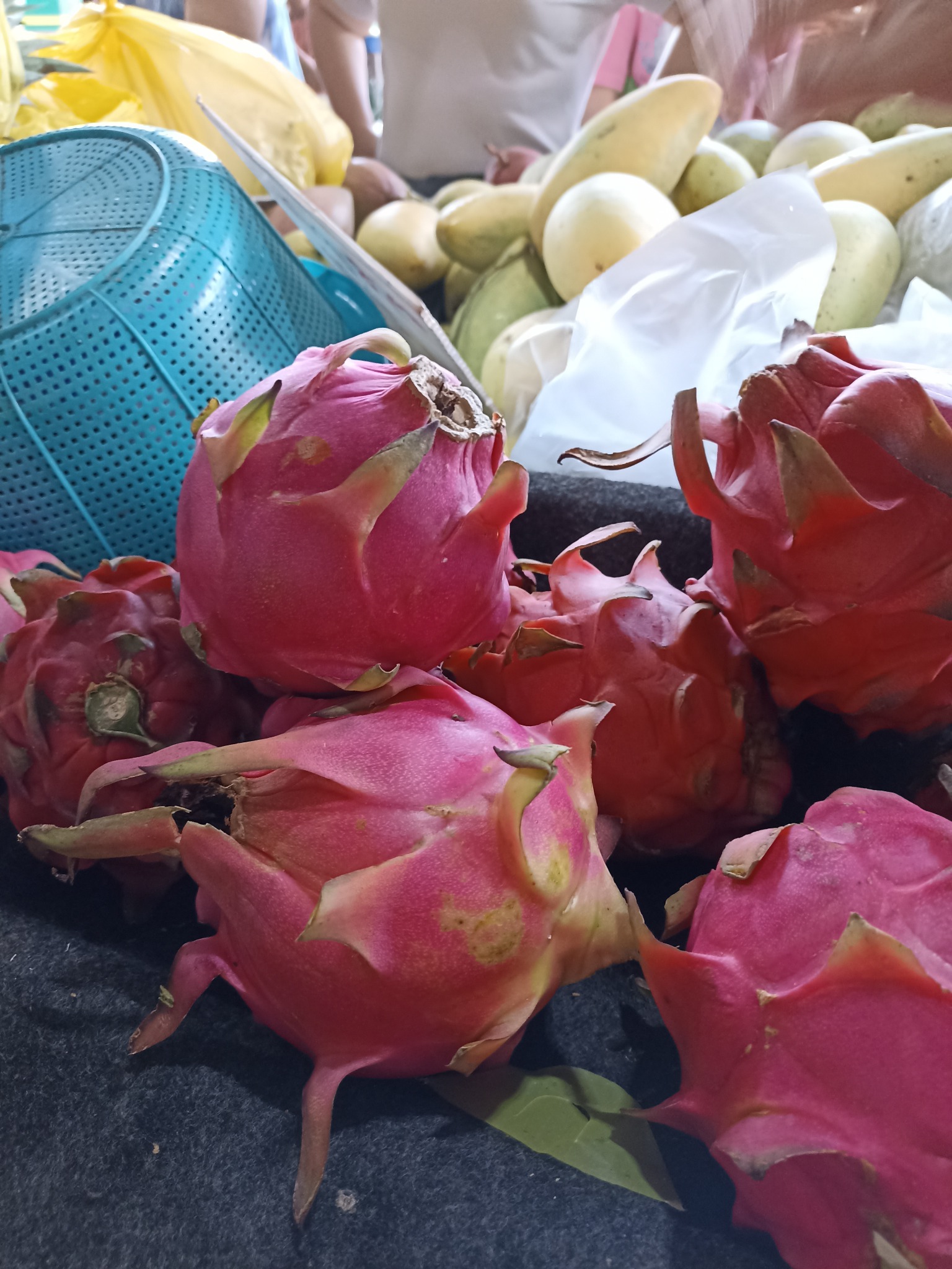 Red Pitaya Dragon Fruit Information and Facts