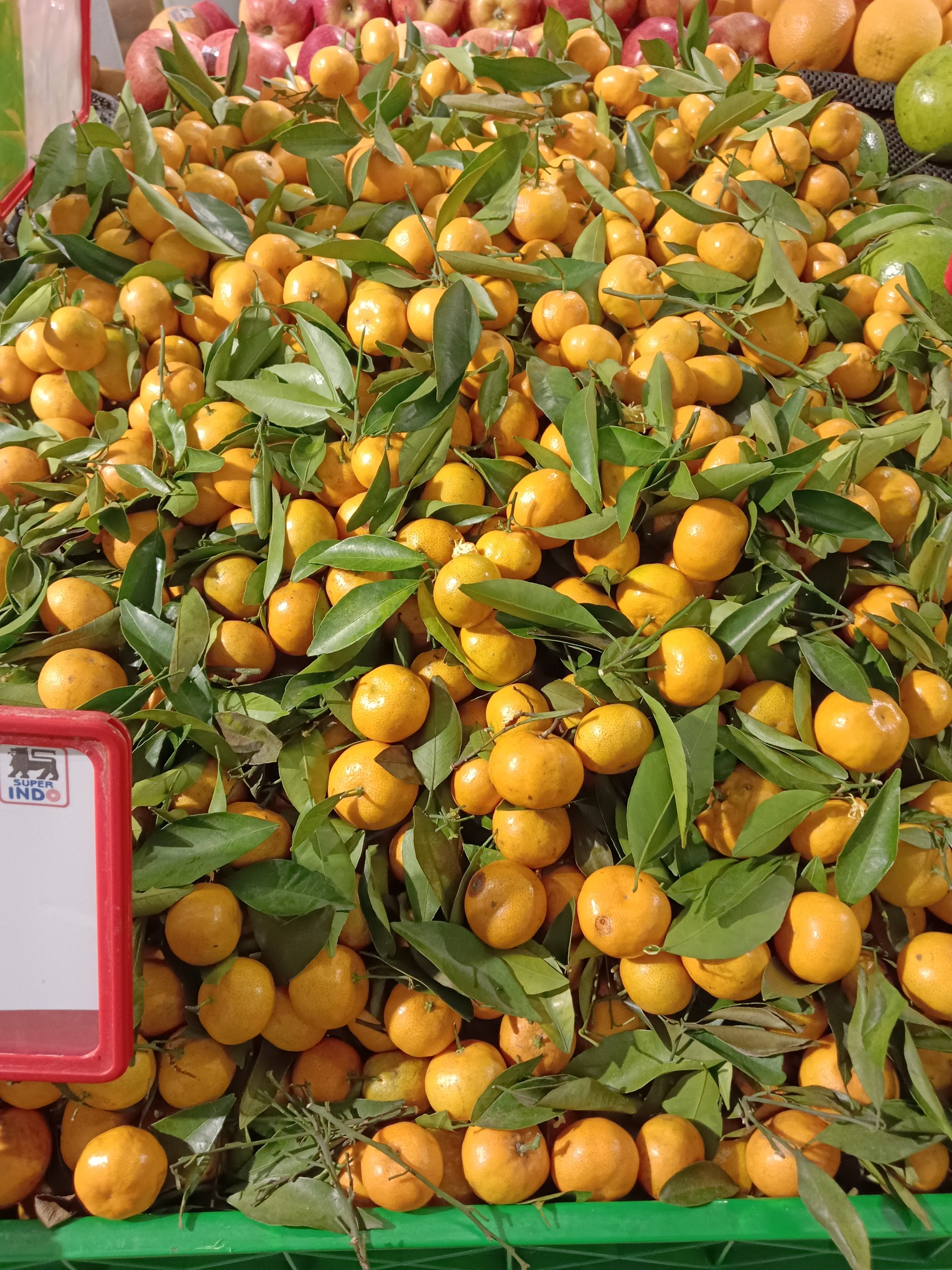 Fresh mandarin oranges fruit or tangerines or jeruk santang madu.Usually  Served for Chinese New Year Stock Photo by edgunn36