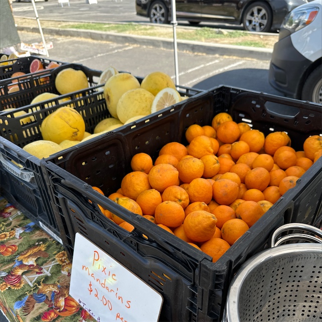 Seedless Pixie Tangerines 2lb Bags