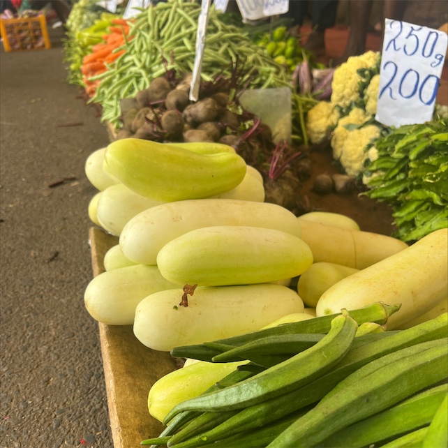 Ceylon Dried Organic Rare Asian White Wonder 50 Cucumber Seeds Fresh Garden