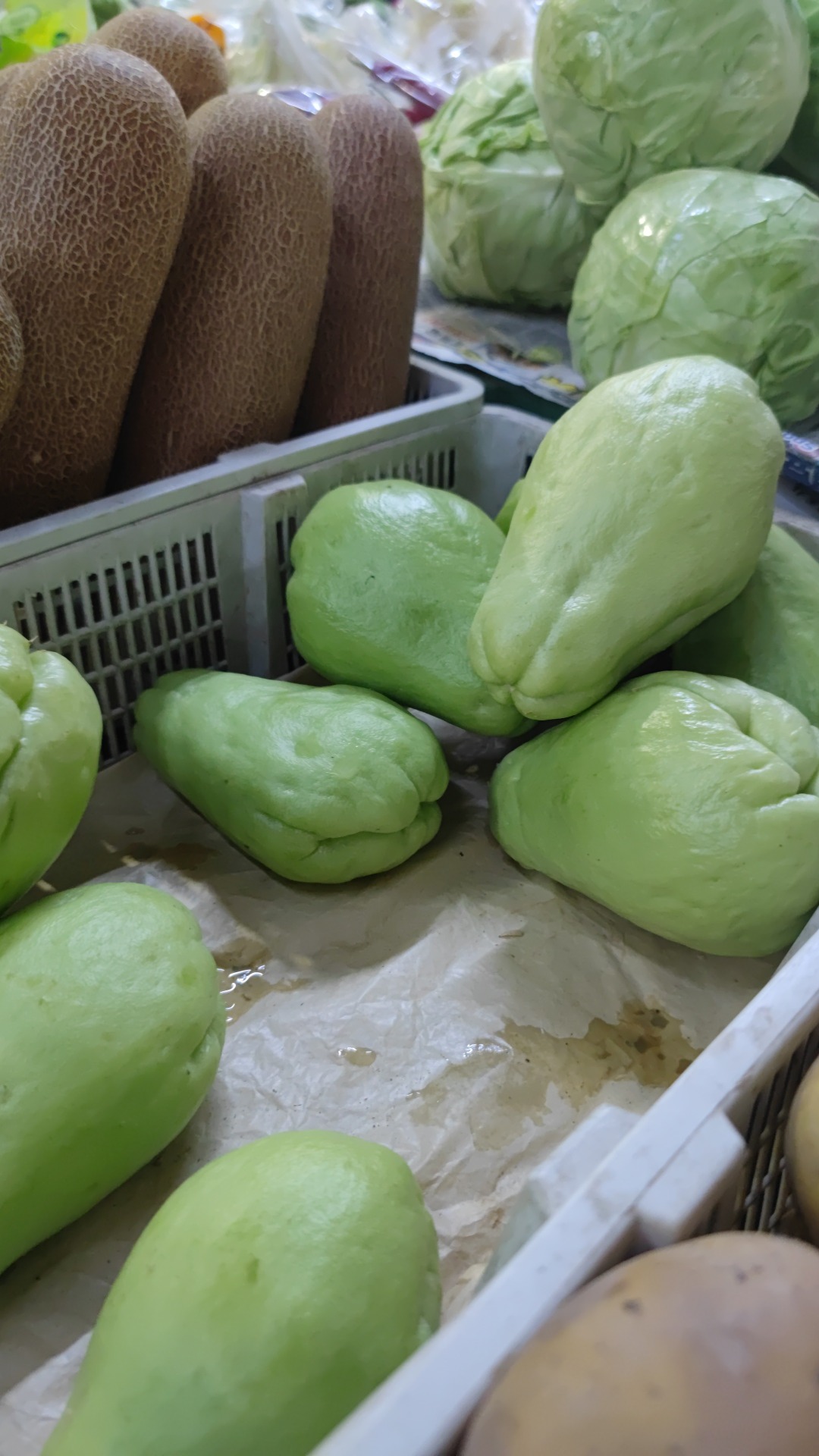 Doctor Sebi Information - CHAYOTE FACTS Also known as Chocho, Mango Squash,  Christophine, Vegetable Pear, and Chuchu. Most versatile plant on Earth. 1.  The leaf, root, seed, stem, and fruit all edible.