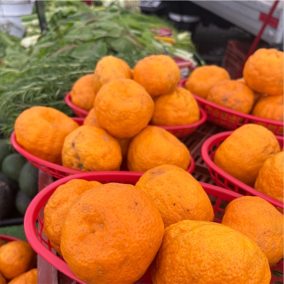 Seedless Pixie Tangerines 2lb Bags