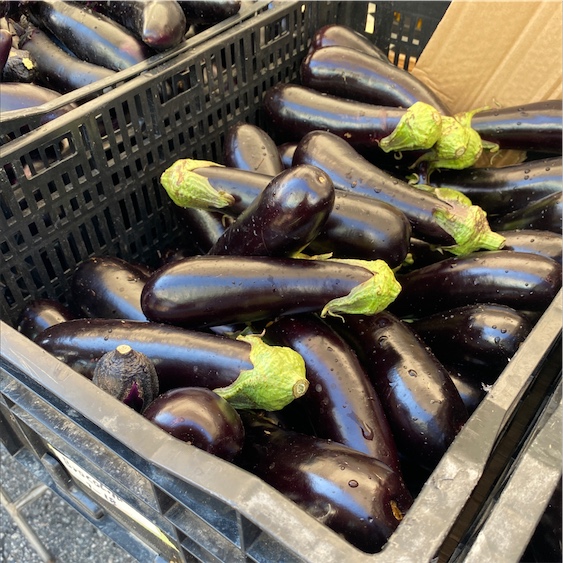 The Perlina Eggplant  Story and characteristics