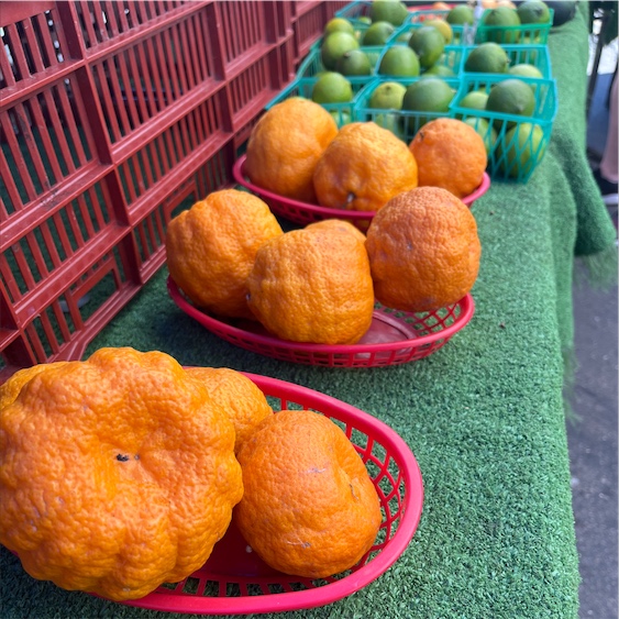 Seedless Pixie Tangerines 2lb Bags