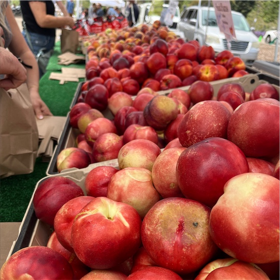 Fresh White Nectarine  Central Market - Really Into Food