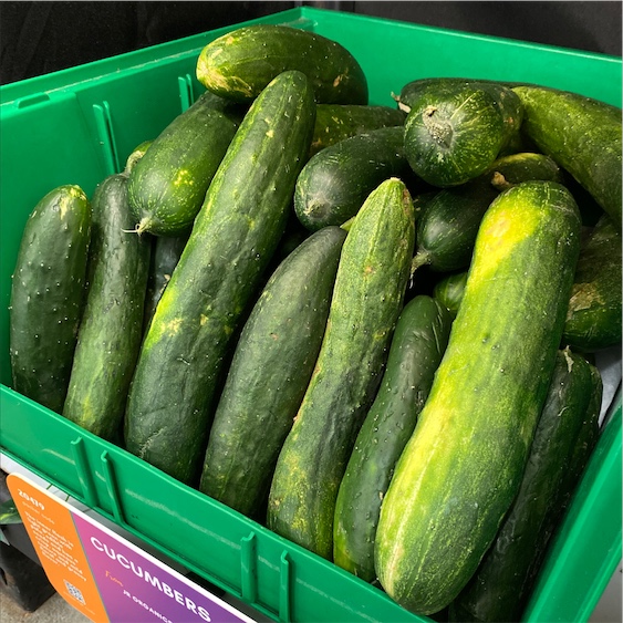 Cucumbers Information and Facts