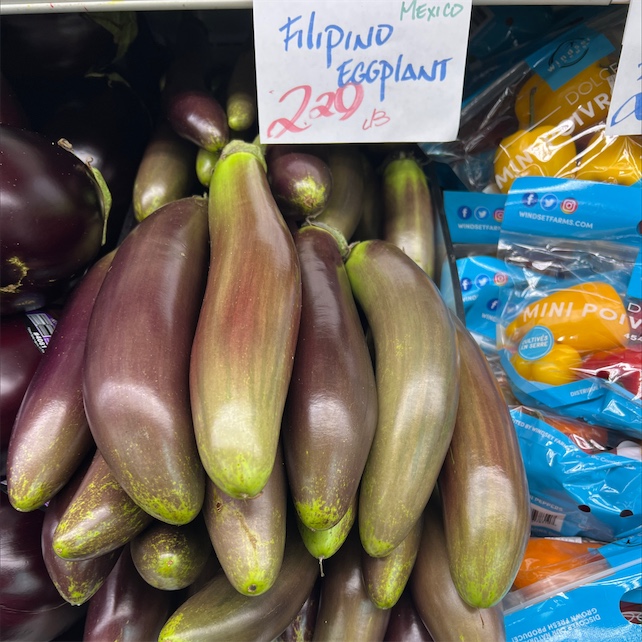 The Perlina Eggplant  Story and characteristics