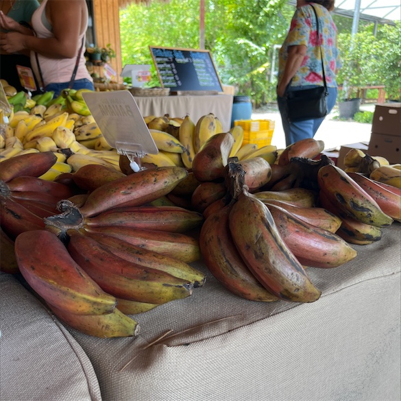 Fresh Bunch of Red Bananas  Central Market - Really Into Food