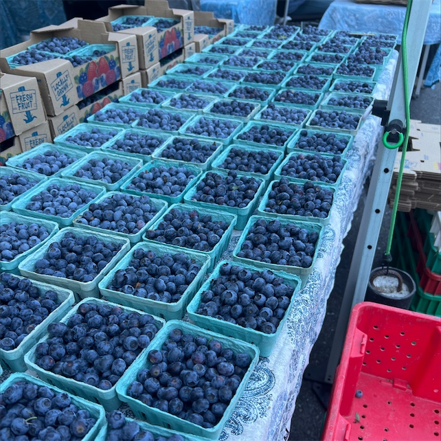 Blueberries Information and Facts