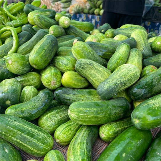 Cucumbers Information and Facts