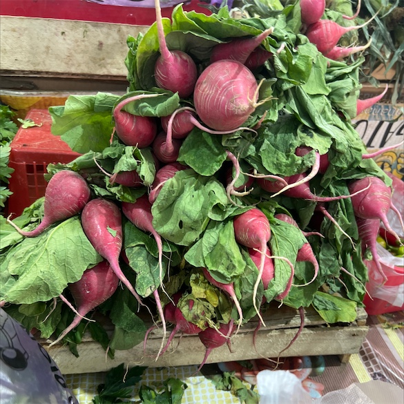 Red Radish Information and Facts