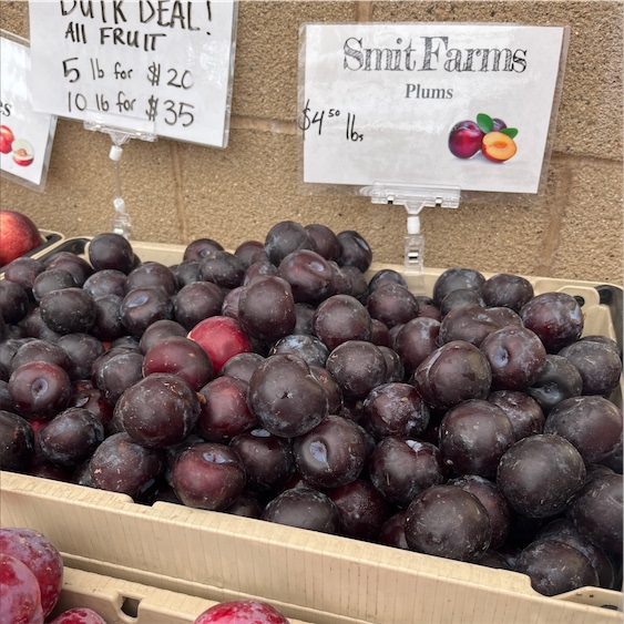 Specialty Produce 🌽🥝🍋🍅 on Instagram: “Burgundy Plums have a firm, blood  red flesh with a crisp, juicy texture! These plums…