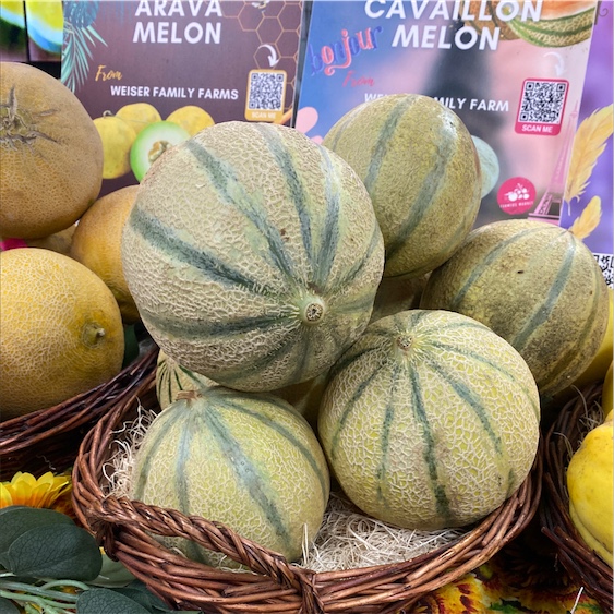 Melon de Cavaillon Espagnol