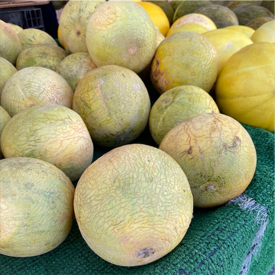 Bonnie Plants Honeydew Cantaloupe - Get Great Value, Give to a