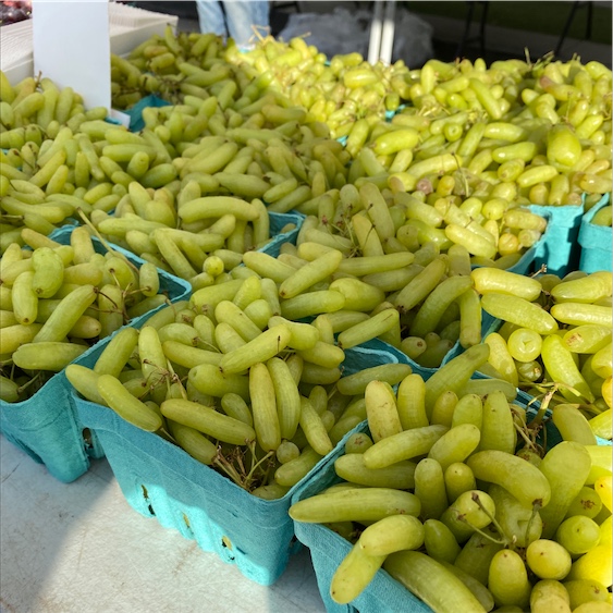 Green Finger Seedless Grape