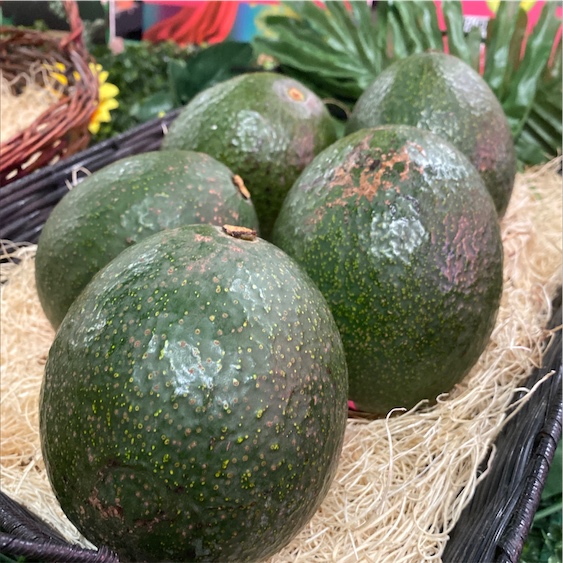 Reed Avocados Information and Facts