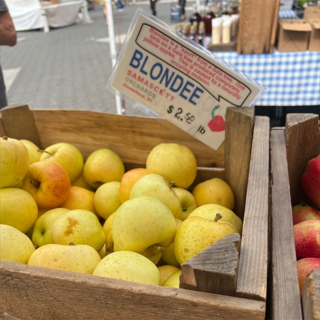 Blondee Apples - Tuttle Orchards