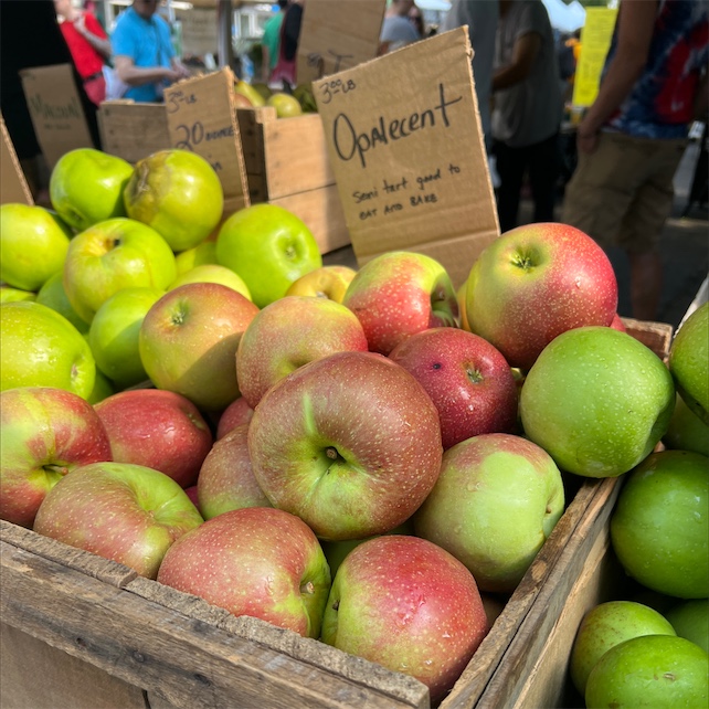 Opal Apples at Zupan's Markets in Portland, OR