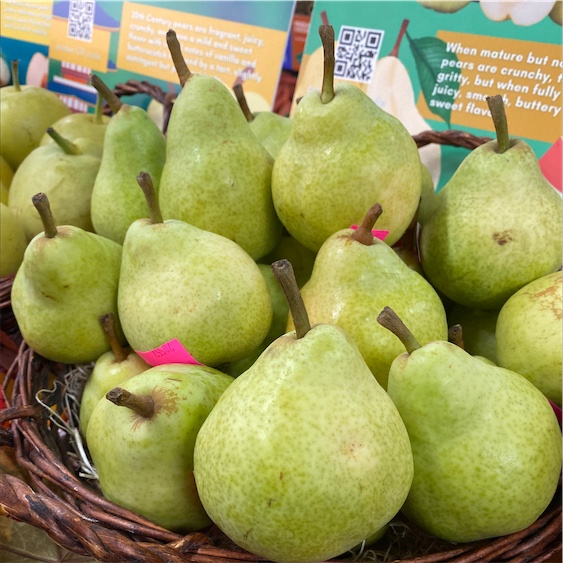 Bartlett/Williams/WBC Pears, Large, Pears