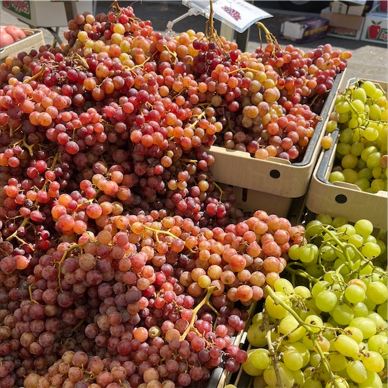 Red Seedless Grapes (Each) - Elm City Market