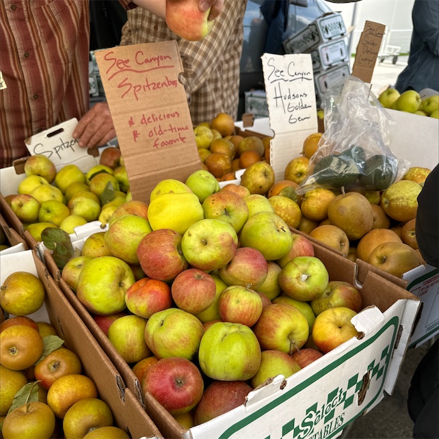 Sugar Bee Apples have arrived! - Kowalski's Lyndale Market