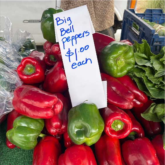 Red Holland Bell Peppers Information and Facts