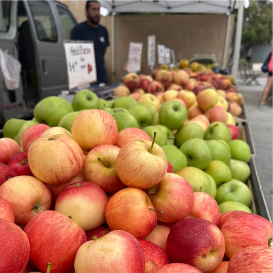 Aurora Golden Gala™ Apples Information and Facts